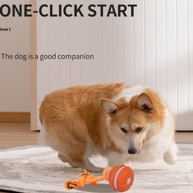 a88a480b0fefb60423a33c0827887e8d